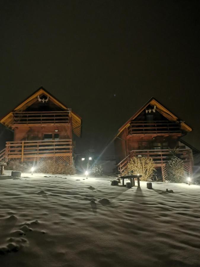 Noclegi Daglezja Pod Gora Zar Miedzybrodzie Zywieckie Dış mekan fotoğraf